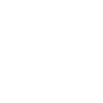 p12-logo